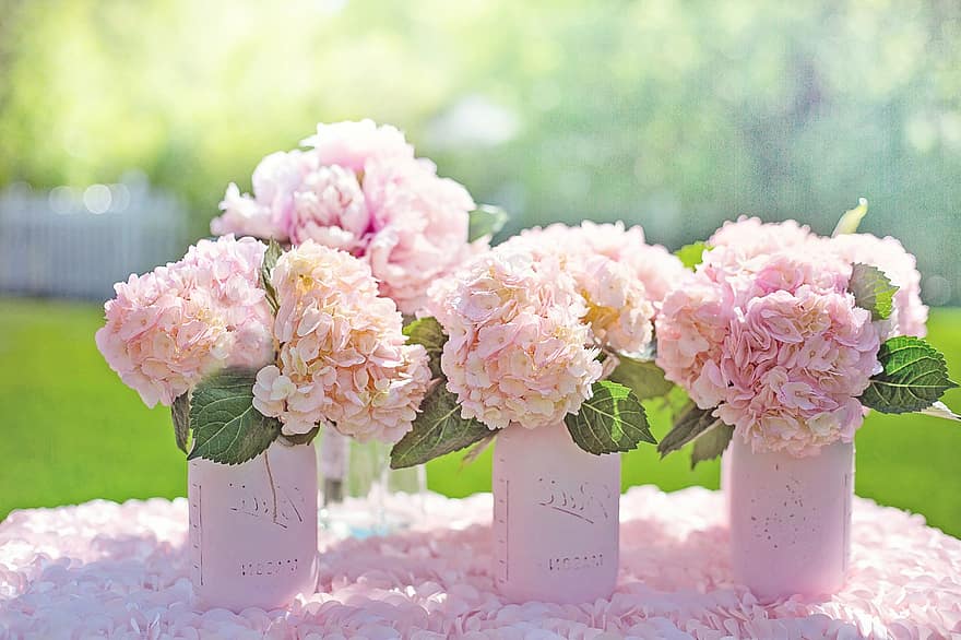hortenzie, růžové hortenzie, kytice, centerpieces, svatba, svatební kytice, růžová barva, květ, letní, svěžest, váza