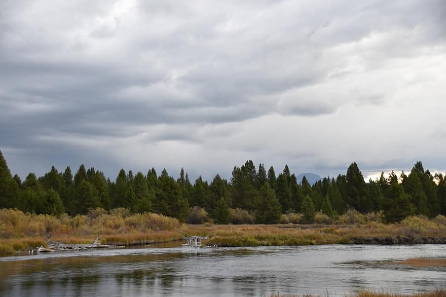 con sông, u ám, cây, những cây thông, Nước, những đám mây, Montana, Thiên nhiên, sự phản chiếu