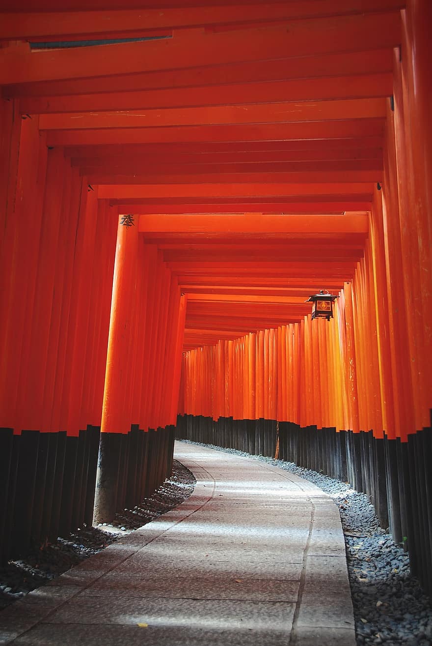 torii, cancello, Giappone