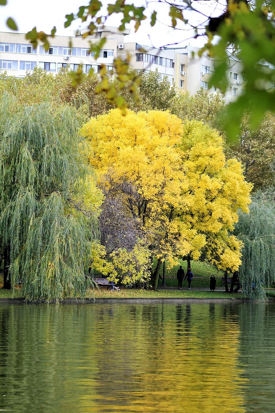 lago, naturaleza, otoño, temporada