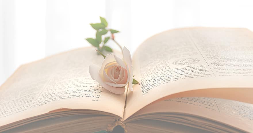 könyv, nyitott könyv, könyvjelző, rózsaszín rózsa, Kifakult oldalak, regény, fejezet, Könyv és Virág, olvasok, öröm, kereszténység