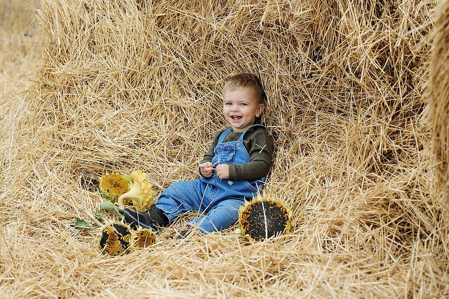 Boy, Child, Hay, Baby, Toddler, Kid, Young, Happy, Smile, Cute, Adorable