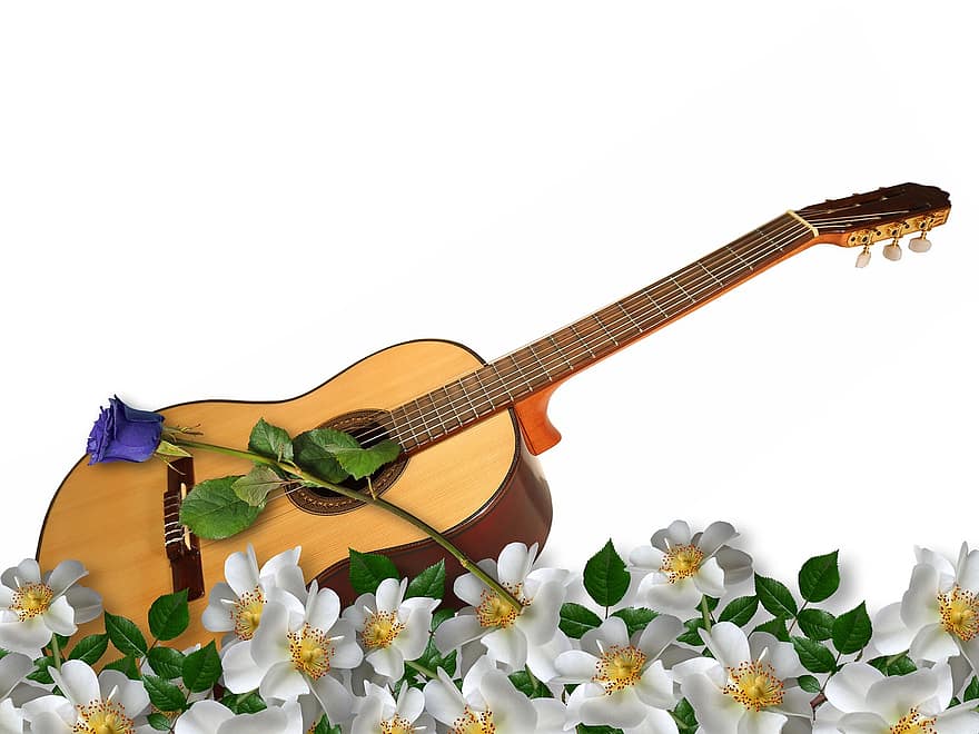 китара, инструмент, цветя, музикален инструмент, дървен, дървена китара, акустичен, акустична китара, синя роза, музика, звук