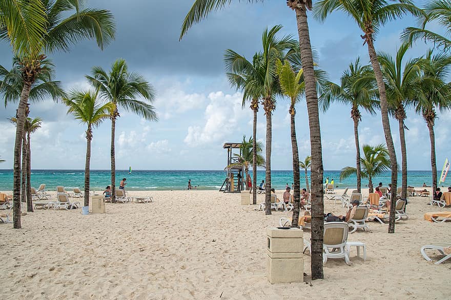 strand, tropisch, caribbean, palmbomen, reizen, zand, vakanties, zomer, kustlijn, vakantie resort, tropisch klimaat