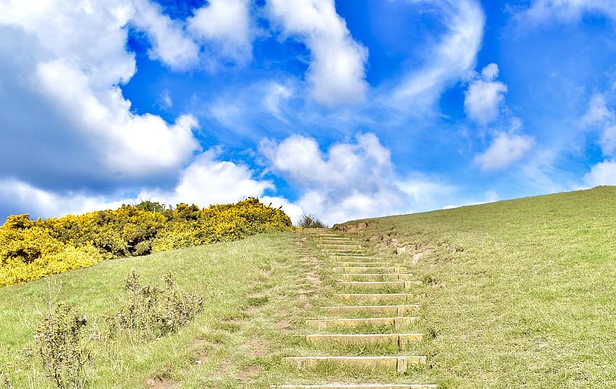 Hill, Path, Steps, Stairs, Hillside, Clouds, Sky, Field, Nature, grass, meadow