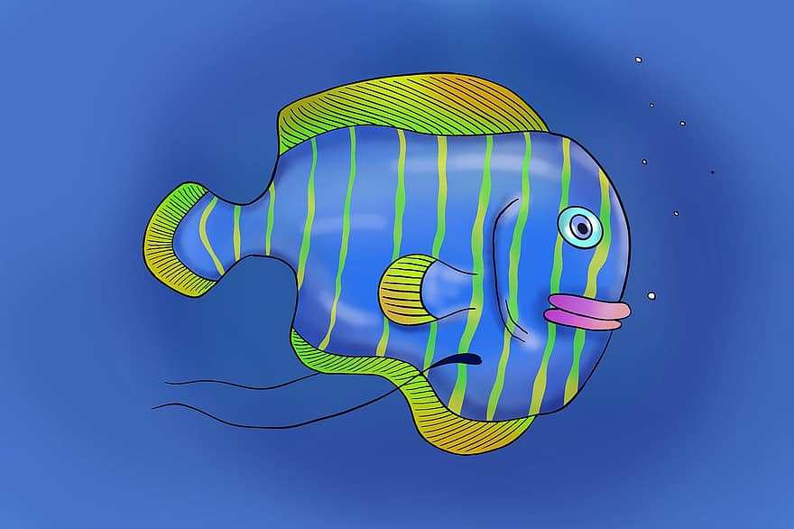 मछली, उष्णकटिबंधीय, समुद्र, जंतु, जिंदगी, पशुवर्ग, पानी के नीचे, रंग बिरंगा, सागर, पानी, जानवर