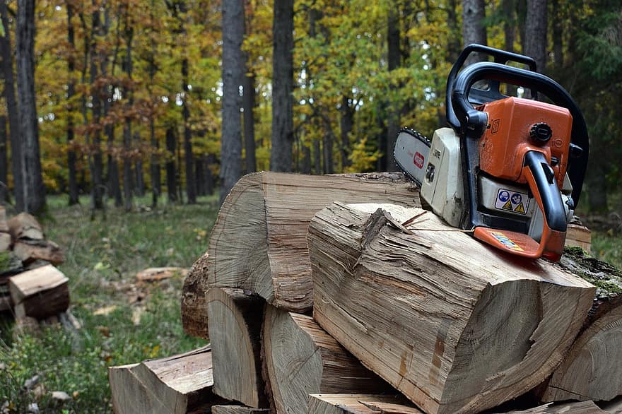 hout, logs, stam, brandhout, Stukken hout, brandstapel, houten, bosbouw, structuur, ontbossing, materiaal