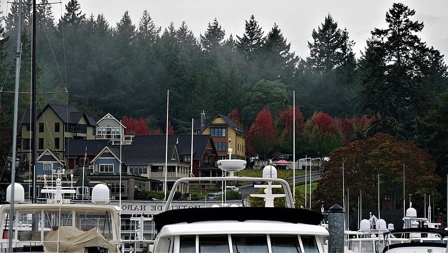 Roche Harbor, Washington State, Harbor, Boats, Autumn, Marina, Fall Colors, Nature, San Juan Island, nautical vessel, travel