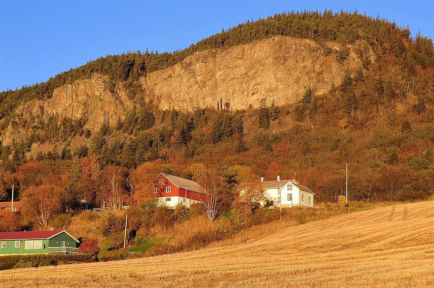 فيكانفينجين ، Stjørdal ، النرويج ، تروندهايم فيورد ، الخريف ، الألوان ، طبيعة ، زاهى الألوان