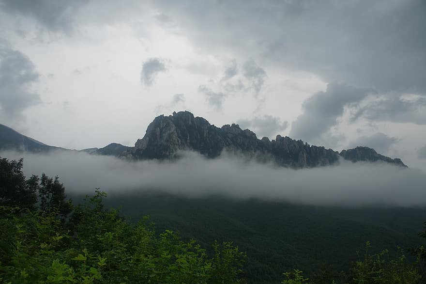 βουνό, ομίχλη, δάσος, βροχερός, σύννεφα, σε εξωτερικό χώρο