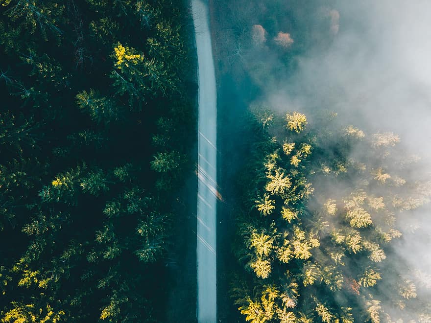Road, Nature, Travel, Countryside, Adventure, Exploration, Drone, Trees, Forest