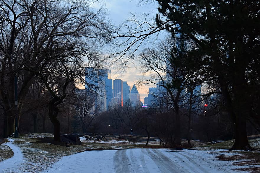Road, Winter, Central Park, Snow, Cold, Path, Roadway, Trees, Buildings, Skyscrapers, Urban