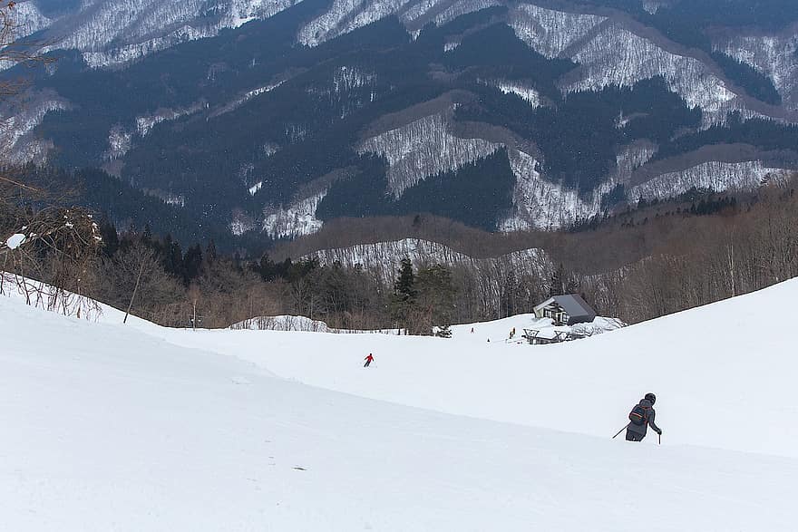 sciare, la neve, versante, inverno, freddo, piste da sci, alberi, invernale, brina, nevoso, montagne