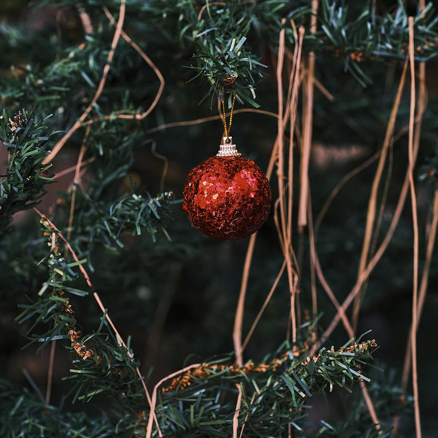Vánoce, Vánoční ozdoby, vánoční výzdoba, vánoční dekorace, nový rok, oslava, strom, dekorace, větev, detail, sezóna