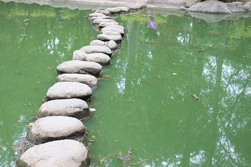 Stone Path, Pond, Walkway, Landscape, Stones, Path, Park, green color, water, grass, summer