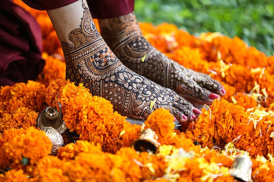 Hochzeit, Mahendi, Blume, Beine, Frau
