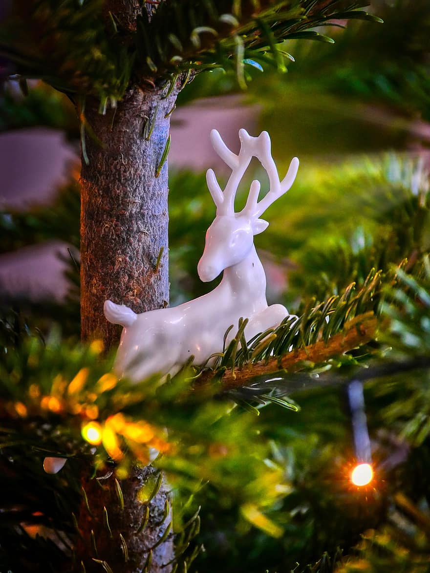 Noel ağacı, Noel süsleri, dalları, dekorasyon, çam iğneleri, geyik, ren geyiği, Noel