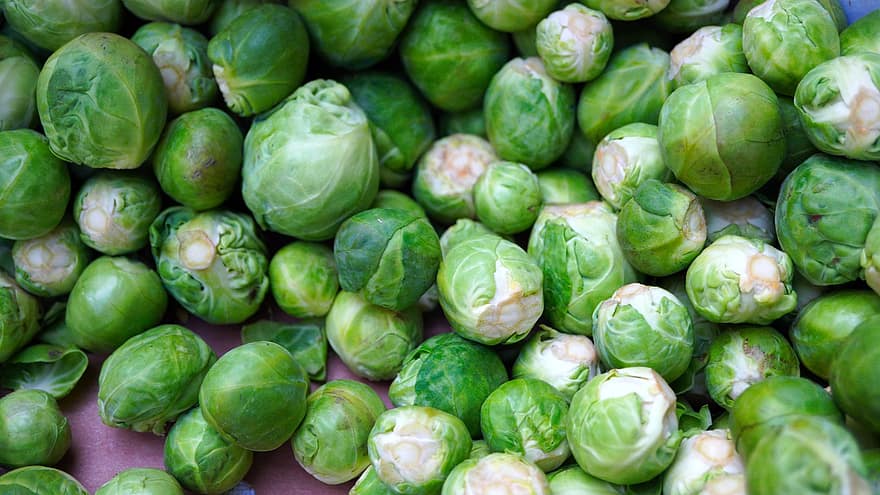 Brussels Sprouts, Green, Vegetables, Green Vegetables, Food, Nutrition, Healthy, Produce, Organic, Fresh, Harvest