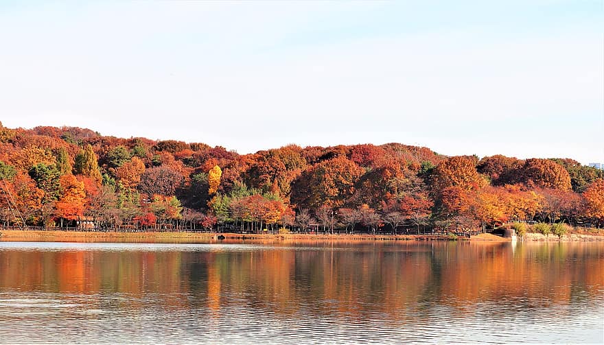 湖、ユルドン公園、森林、秋、城南、韓国