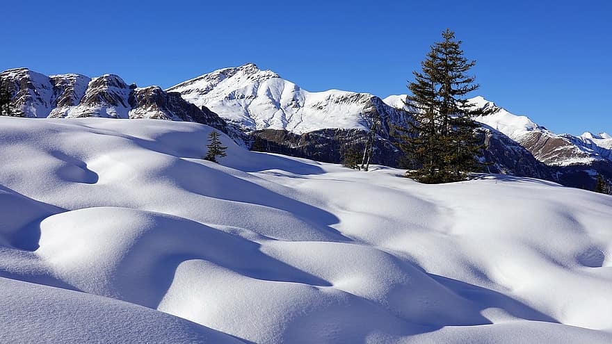 hivern, neu, muntanyes, paisatge, naturalesa, arbres, pic, cim, vent de neu, nevat, paisatge d'hivern