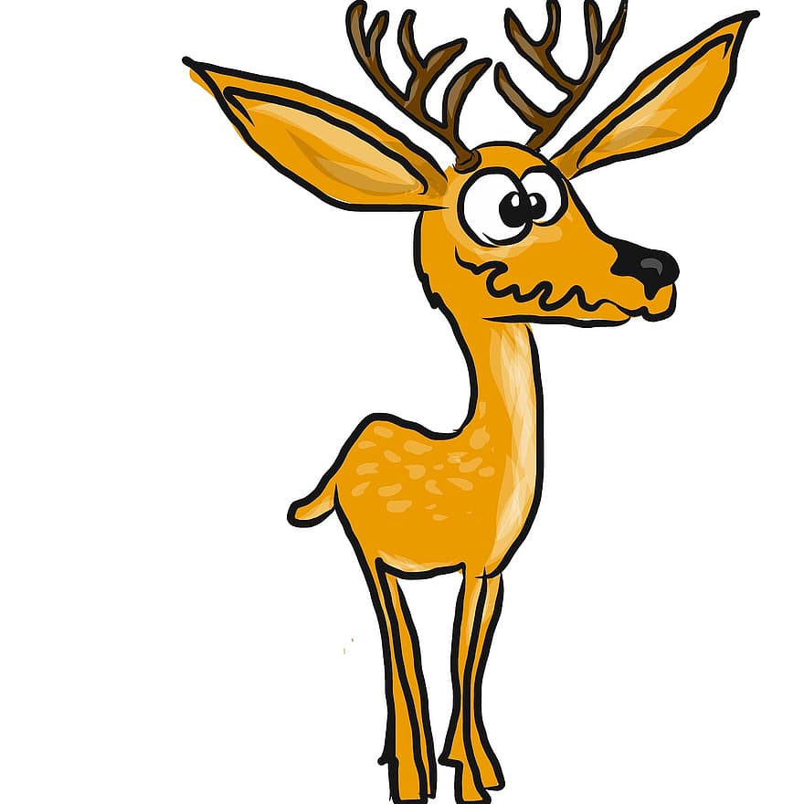 Deer, Herbivore