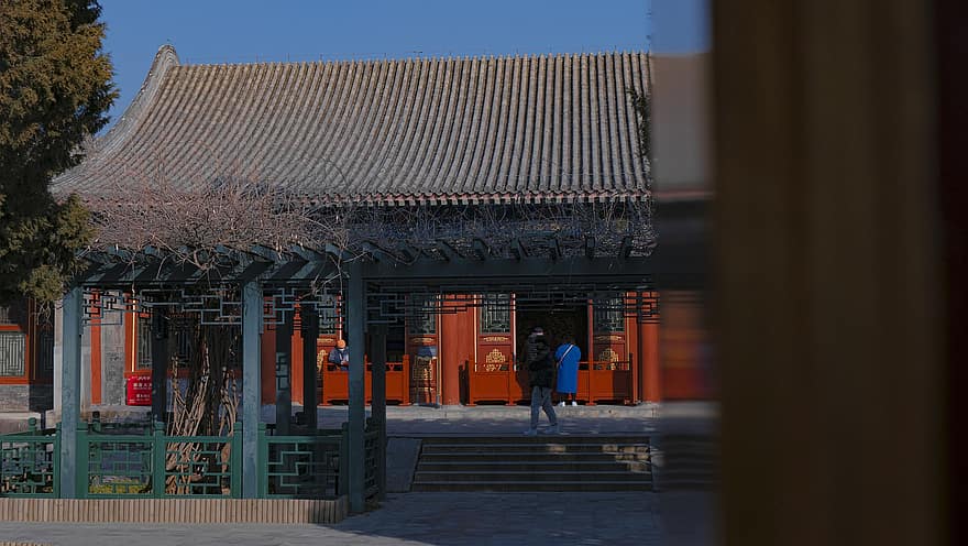 Gebäude, Garten, Hof, die Architektur, Schatten, Haus, minimalistisch, Palast, Geschichte, Peking, Kulturen