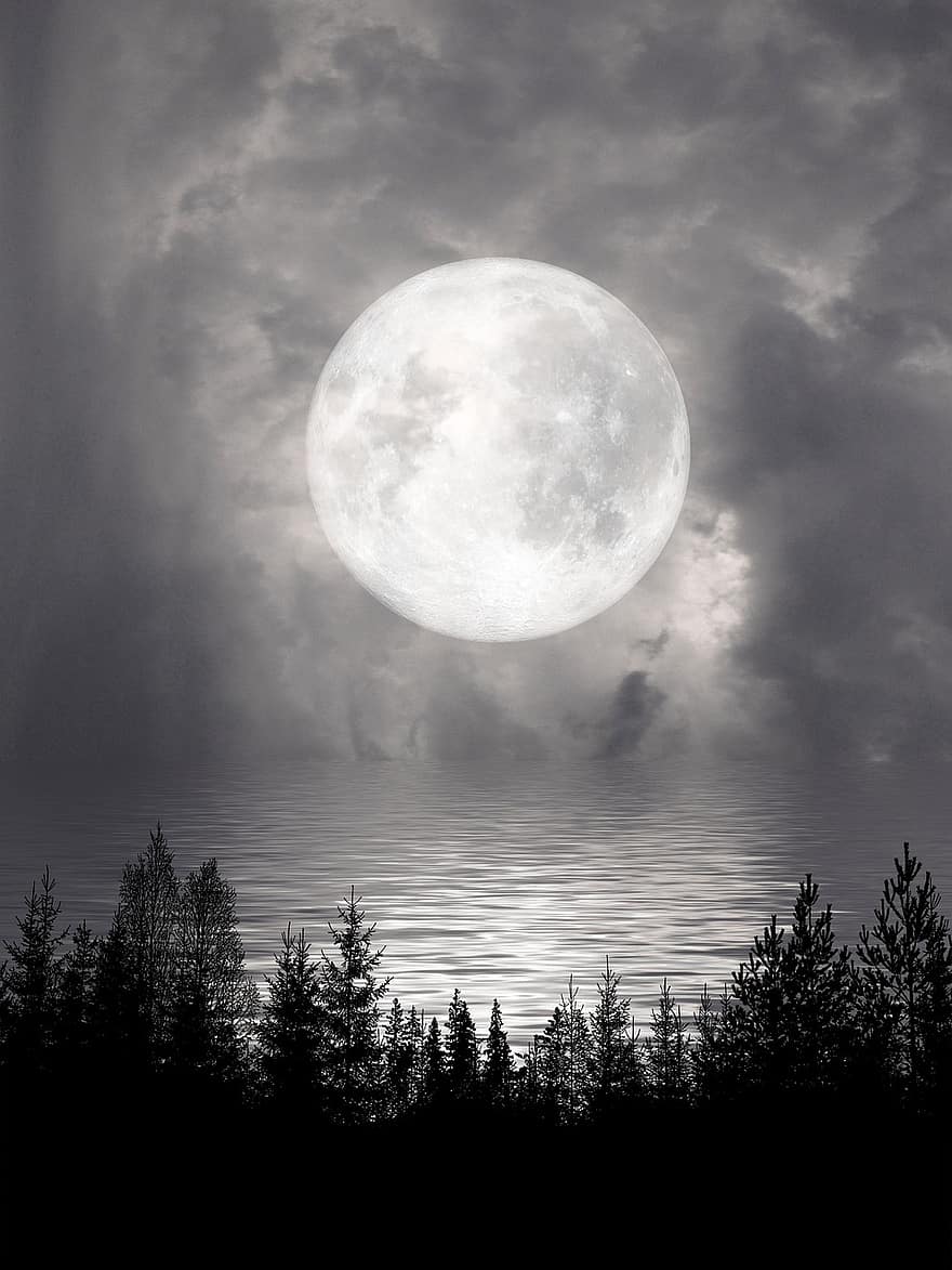 volle maan, meer, maanlicht, nachtelijke hemel, reflectie, natuur, nacht, water