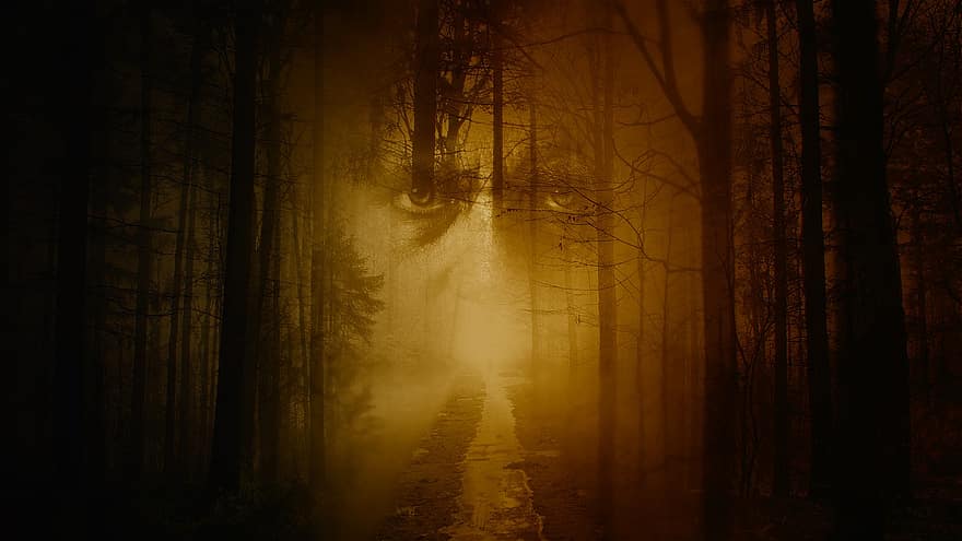 面、幽霊、森林、神秘的な、不思議な、精神、ホラー、木、森の中、霧、自然