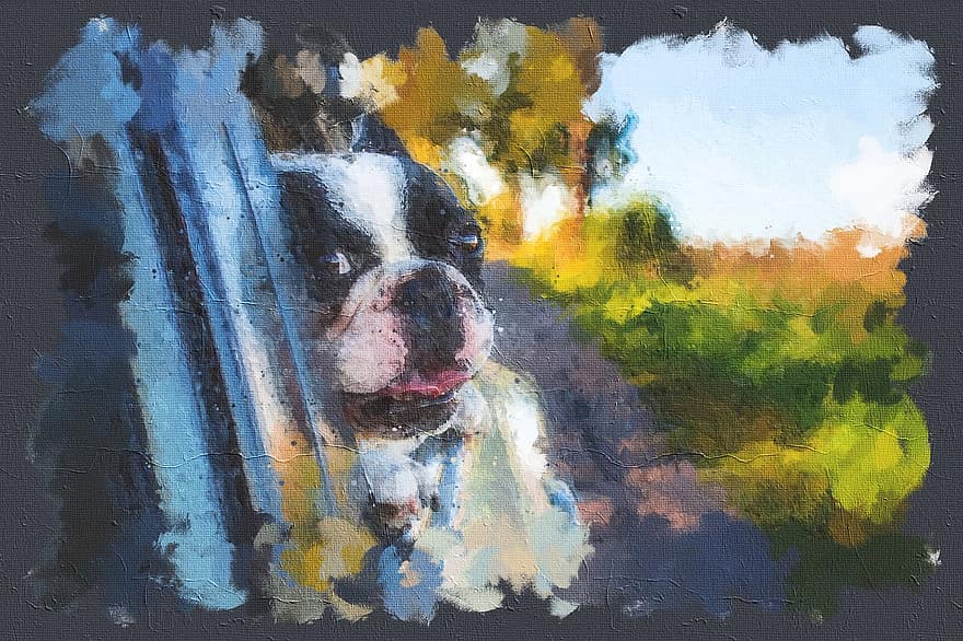 Digital Painting, Dog, Paintings, Puppy, Watercolor, Aquarelle, Artistic, Animal, Design, Colorful, Painting