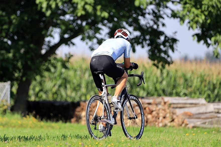자전거 타는 사람, 자전거, 사이클링, 도로 자전거, 스포츠, 여가, 나무, 이파리, 전문 도로 자전거 경주