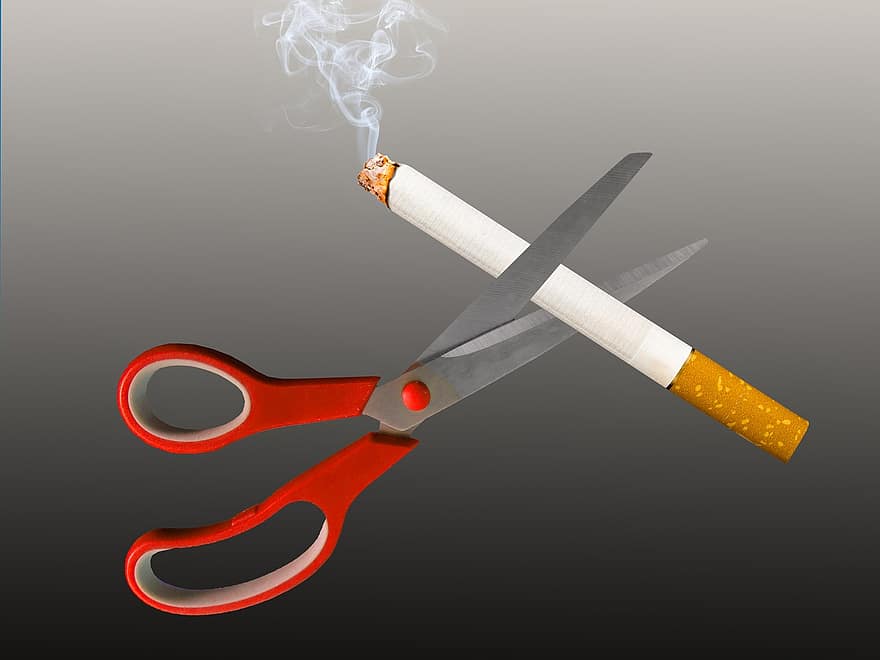 Rauchen, Nichtraucher, Rauchverbot, Zigarette, Rauch, ungesund, Verbot, Schere, Glut, Rauchzone, Rauchen verboten