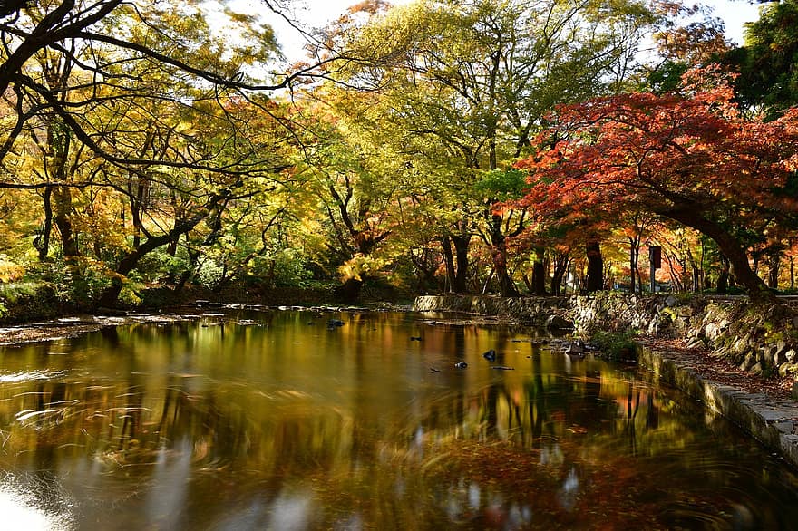осень, озеро, парк, Осенние листья, природа