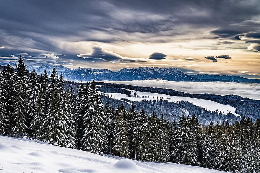 природа, зима, сезон, пътуване, проучване, дървета, на открито, сняг, Лавантал, Каринтия, планина