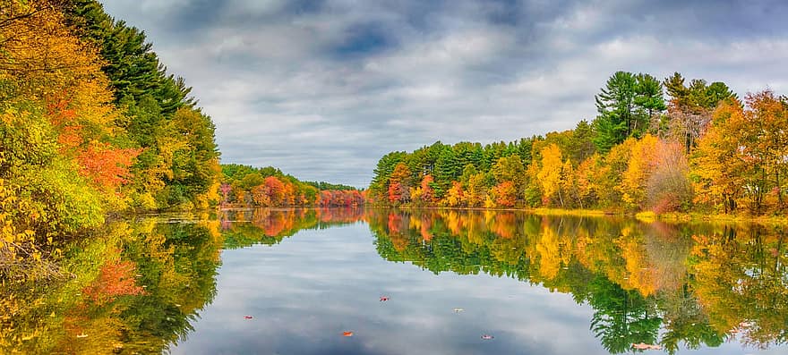 rudenī, ezers, koki, mežs, rudens lapas, rudens zaļumi, rudens krāsas, pārdomas, atspoguļo, spoguļattēls, mierīgi ūdeņi