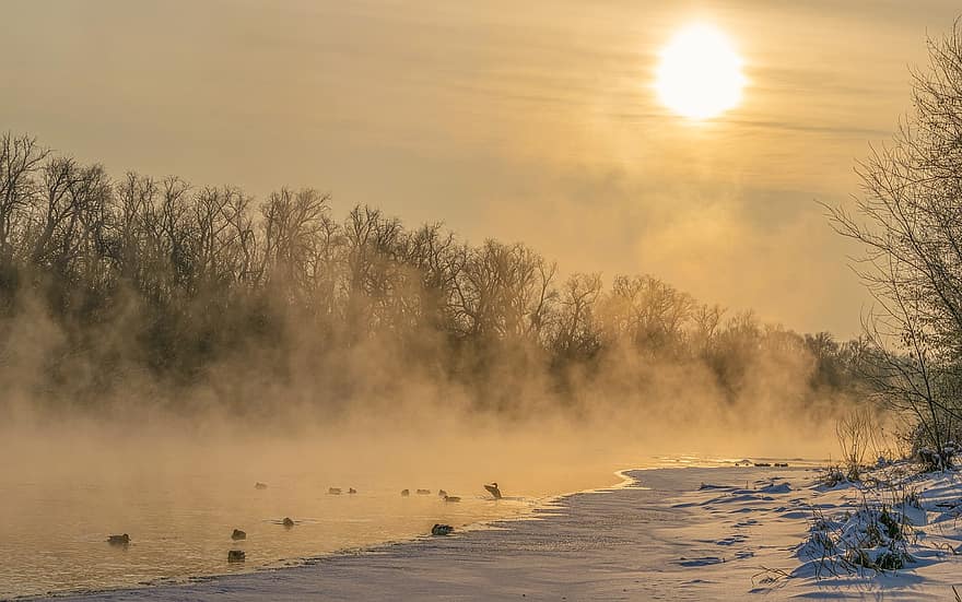 River, Winter, Sunrise, Fog, Sun, Sunlight, Snow, Ice, Water, Bank, Trees