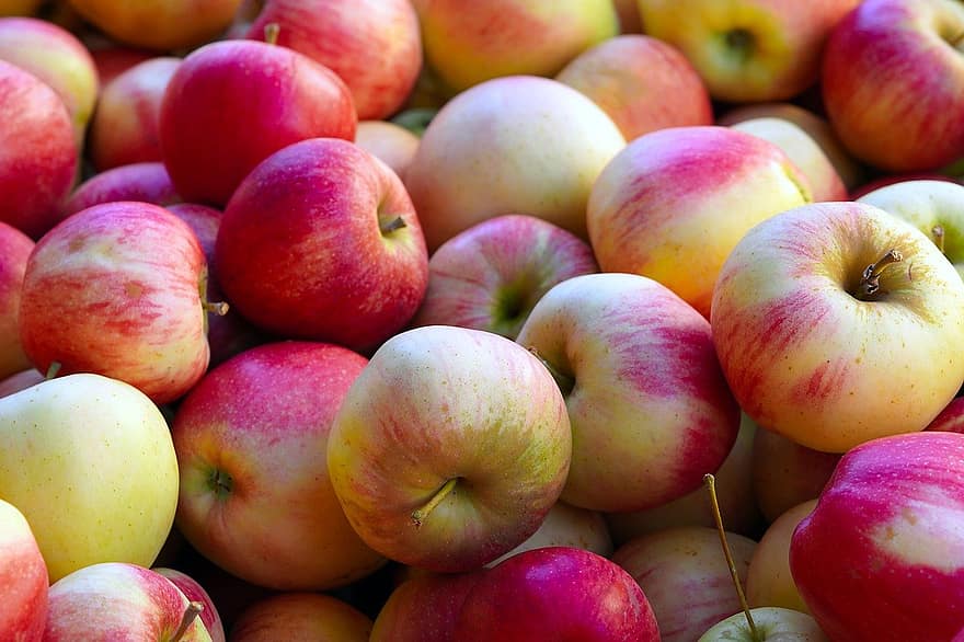 плодове, ябълки, жътва, ябълка, свежест, храна, органичен, зрял, здравословно хранене, селско стопанство, едър план