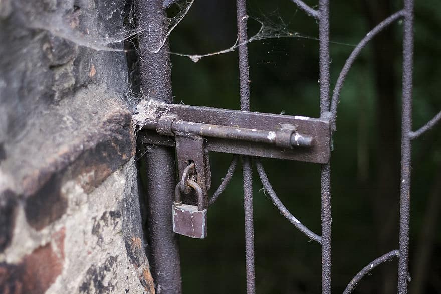 portão, cadeado, oxidado, trancar, metal, velho, ferrugem, fechadas, bloqueado, rede, teia de aranha