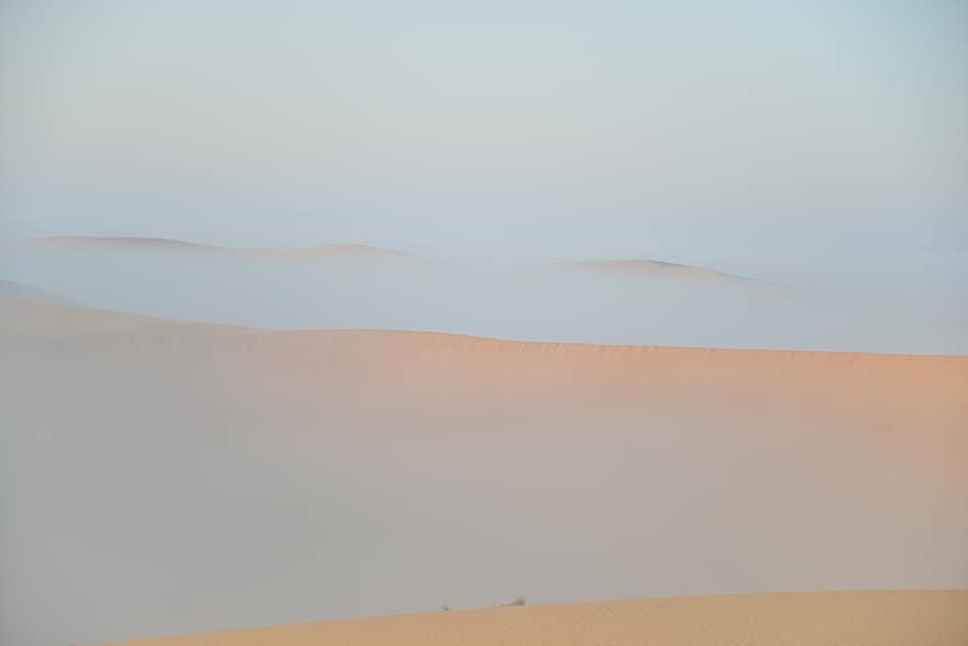 poušť, písek, duny, suchý, slunce, krajina
