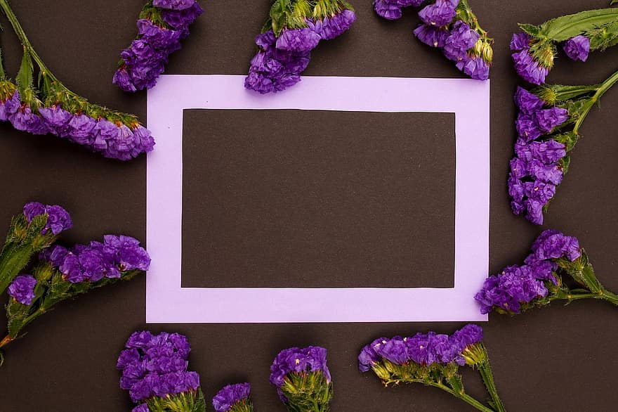 marc, flors, marc floral, còpia espai, maqueta floral, composició floral, pis pla, targeta de felicitació, Marc púrpura