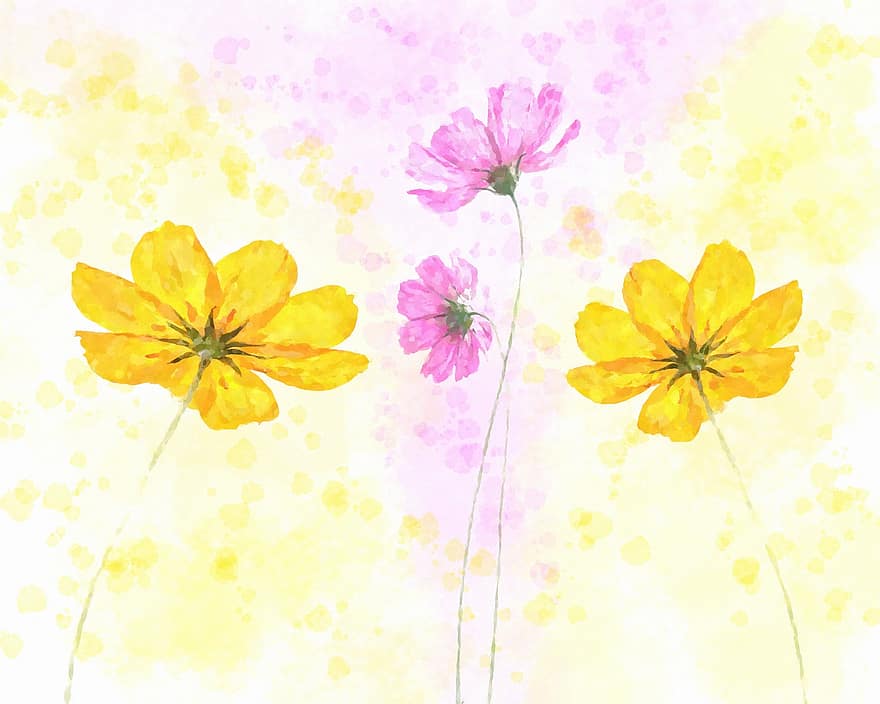 bunga-bunga, kelopak, flora, botani, cat air, bunga, abstrak, latar belakang, kuning, ilustrasi, daun