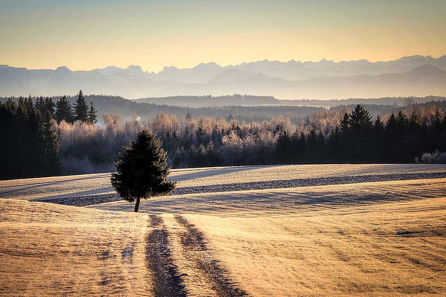 ziemā, kalni, laukos, rīta noskaņojums, ainavu, raksturs, ceļš, mežs, kalns