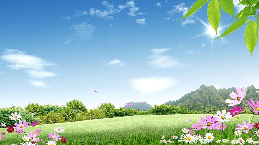 Nature, Plant, Spring, Sun, Trees, Mountains, Clouds, Heaven, Field, Flowering Meadow, Flowers