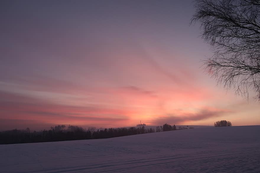 veld-, winter, dageraad, zonsopkomst, zonlicht, ochtend-, hemel, wolken, bomen, landschap, natuur