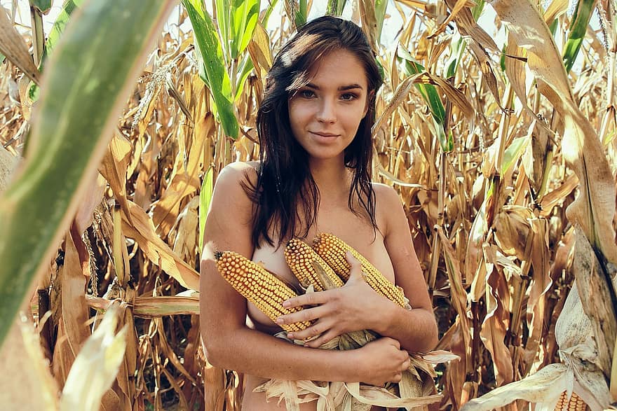főtt kukoricát, lány, mezők, fiatal, nő, portré