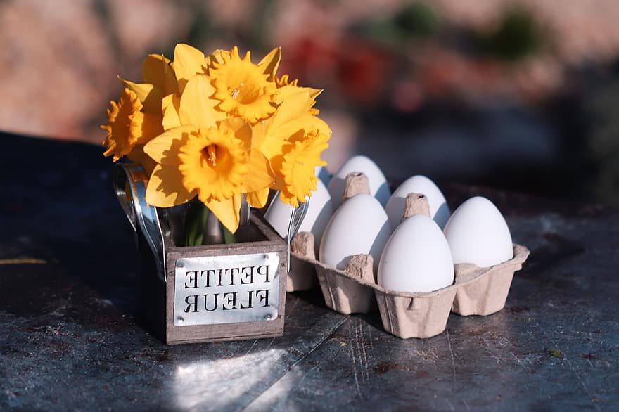 Pasqua, Motivo Pasquale, uova di Pasqua, decorazione di Pasqua, raccolta di pasqua, tema di Pasqua, buona Pasqua, auguri di Pasqua