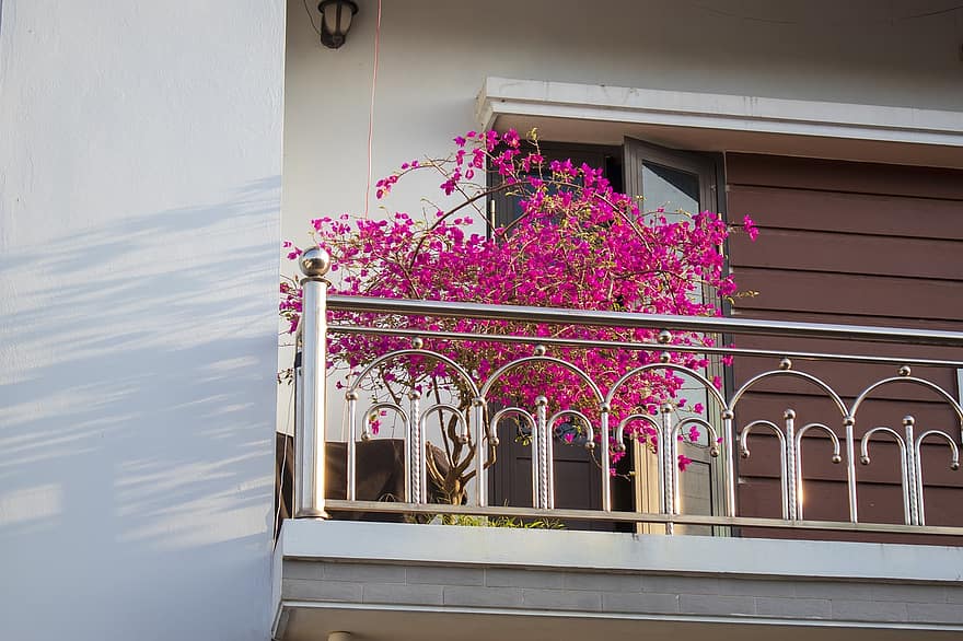 balkong, villa, blommor, hus