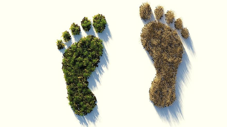 Ecological Footprint, Climate Protection, Environmental Destruction, Climate Change, Fridays For Future, Sustainability, Environmental Protection, Green, Environment, Nature Conservation, Sustainable
