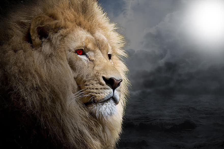 лев, свет, красные глаза, животное, млекопитающее, большой кот, дикое животное, живая природа, темные облака, прожектор, фантастика