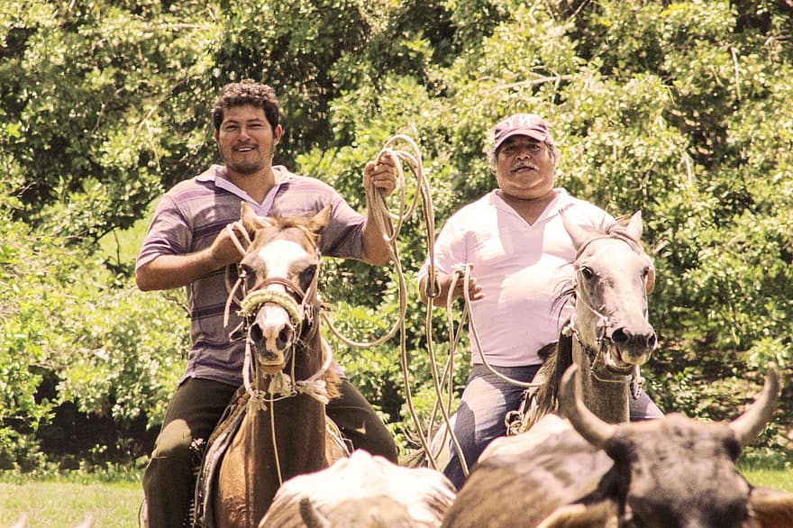 cowboy, Messico, ranch, azienda agricola