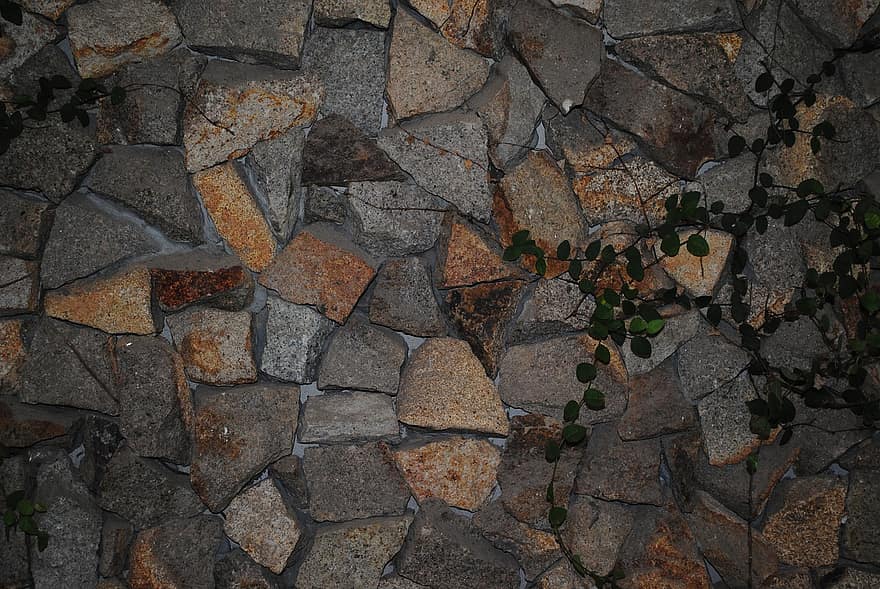 Pared de piedra, pared, vid, hojas, planta, enredadera, piedras, rocas, textura